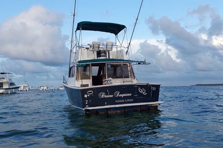 FISHING PRO CHARTERS - Boat Excursion - Divina  5