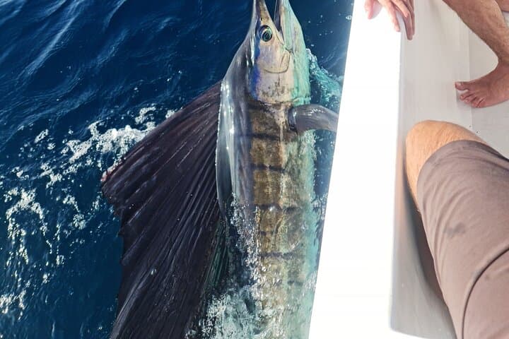 Offshore Fishing trip (Deep sea fishing) 2