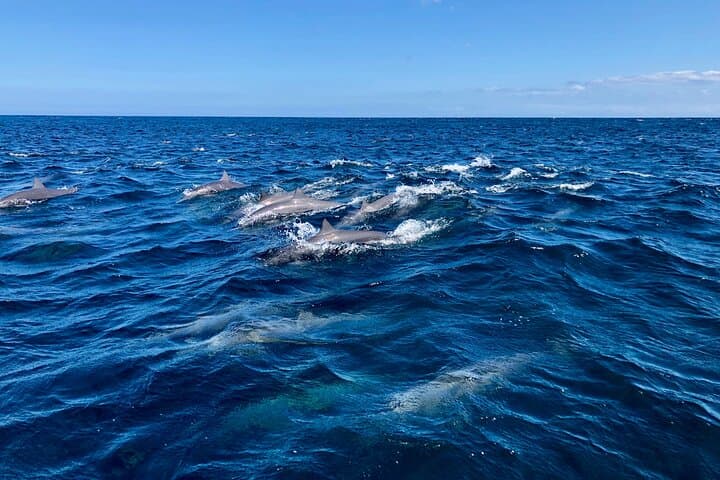 Afternoon Half Day Fishing Charter 3