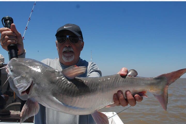 Fishing trips in Buenos Aires, Argentina 5