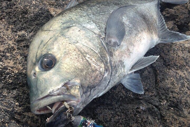 Private Full Day of GT Fishing 2