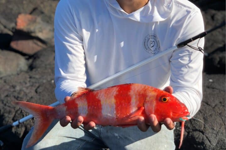 Full Day Private Fishing Activity 2