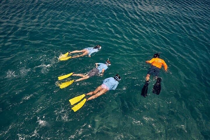 The Artisan Sea & Kayak Adventure (4-in-1) 4