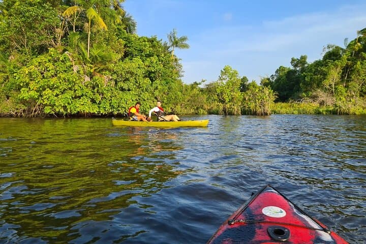 Kayaks in the Maranhenses Lençóis - Atins by Rio Preguiças  4