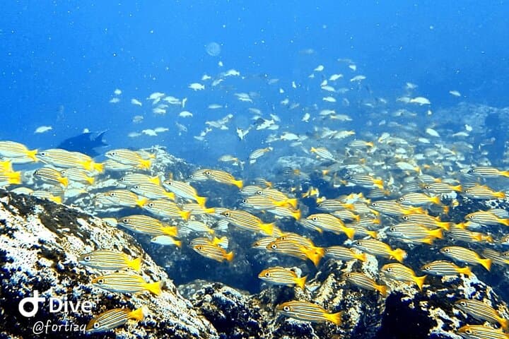 Santa Fe Island & Playa Escondida Snorkeling Day Trip 2