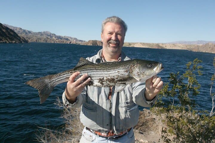 Lake Mead Striped Bass Fishing Getaway 5