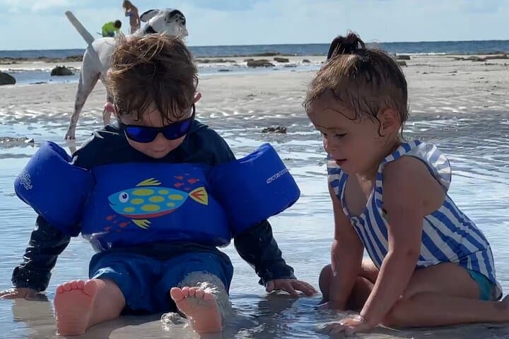 Half Day Charter Sandbar Snorkeling and Eco Adventure 2