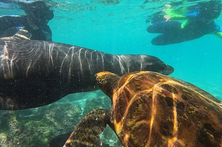 Santa Fe Island & Playa Escondida Snorkeling Day Trip 4