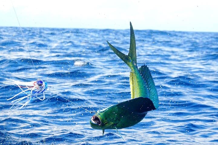 1/2 Day 5 Hour Offshore Fishing Charter 5