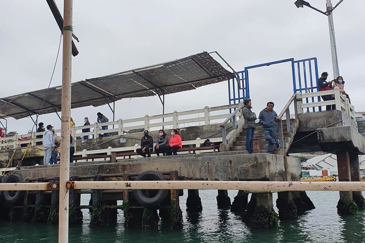 The Fisherman’s Cove Adventure 5