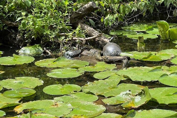 Buckhorn State Park nature hike, kayaking tour, and fishing 4