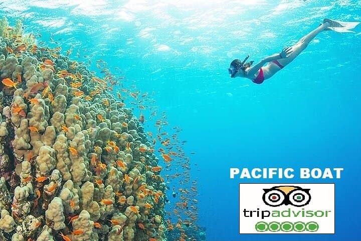 Ultimate Snorkeling & Island Hopping Adventure by Speedboat 2