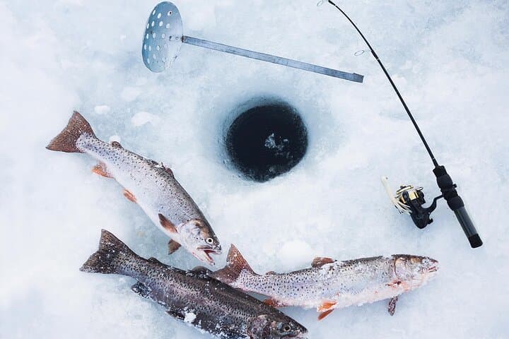 2-Hour Ice Fishing Experience in Rovaniemi, Finland 4