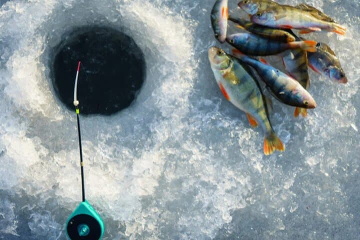 2-Hour Ice Fishing Experience in Rovaniemi, Finland 5