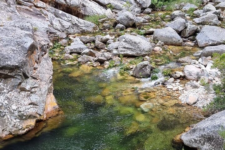 Fly Fishing in Cape Town for Five Hours 2