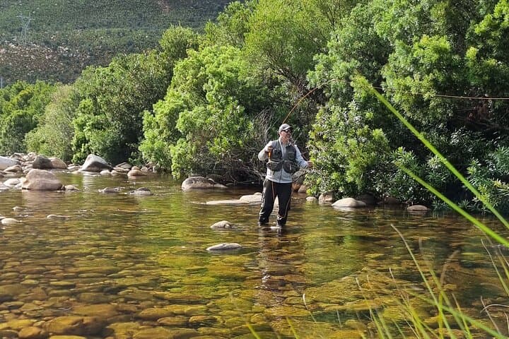 Fly Fishing in Cape Town for Five Hours 5