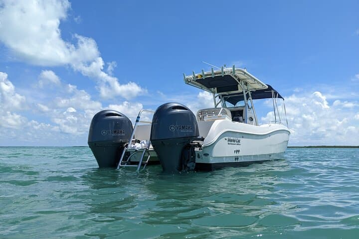 Let it Ride Charters - Private Fishing Charter Adventure in Key Largo, FL  3
