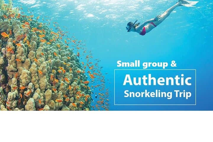 Ultimate Snorkeling & Island Hopping Adventure by Speedboat