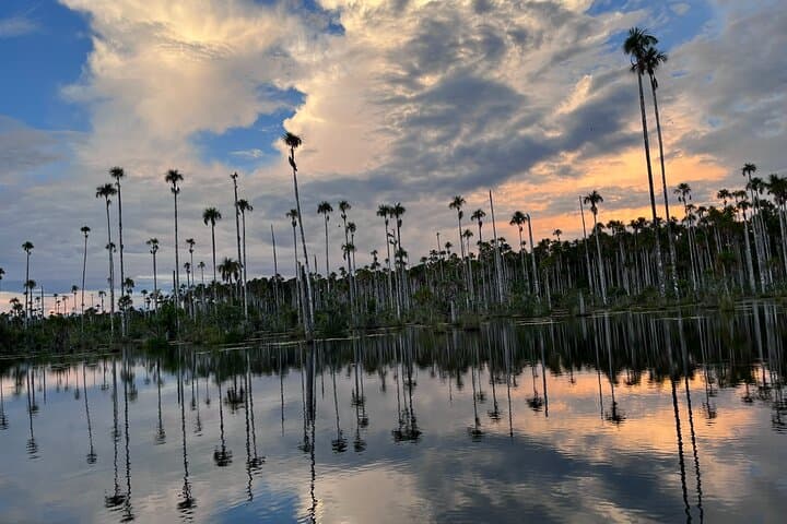 Private Piranha Fishing in Lake Yacumama 4