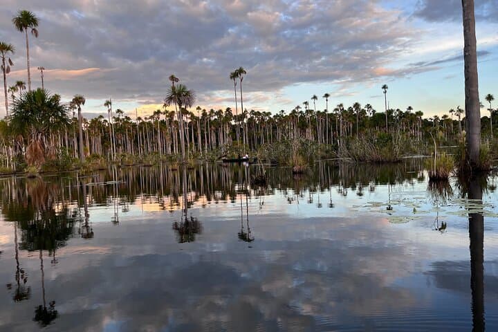 Private Piranha Fishing in Lake Yacumama 3