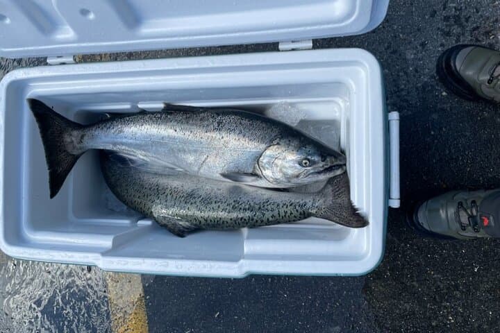 3 Hour Fishing Experience/Class in Juneau 5