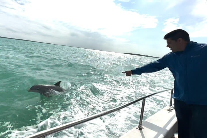 Boat & Yacht Tour Amazing Sandbar Adventure, Water Toys & Snorkel 4