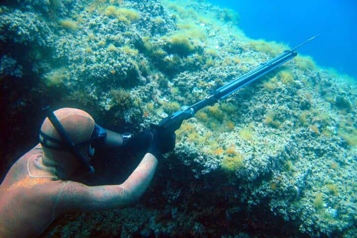 Private Spearfishing Trip From Athens 5
