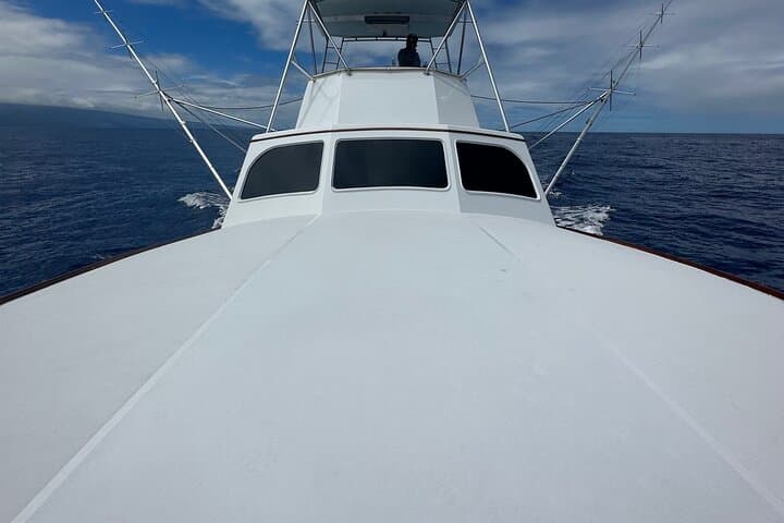 Half Day Morning Fishing Charter 