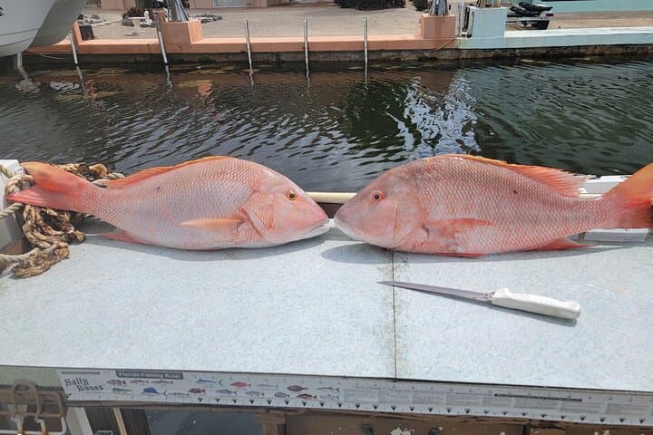 Marathon Florida Keys Fishing Experience  2