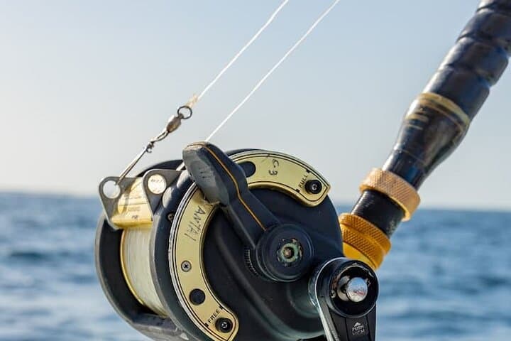 Reel Adventures: A Fin-tastic Fishing Tour 3