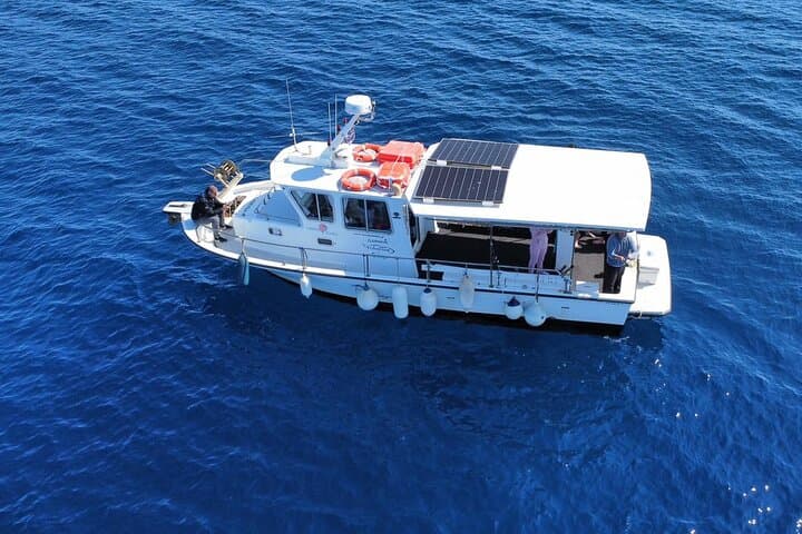 Exciting Fishing Trip in Athens 4