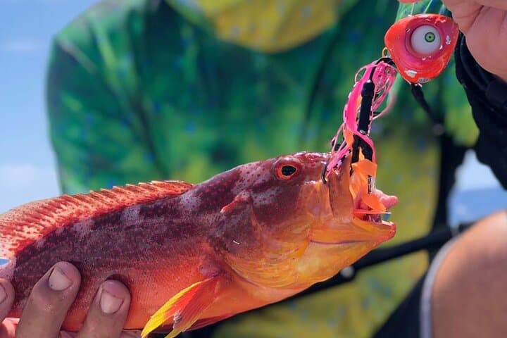  4 Hour Ariki Fishing Activity in Moorea 3