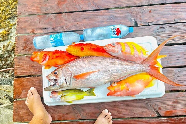  4 Hour Ariki Fishing Activity in Moorea 4