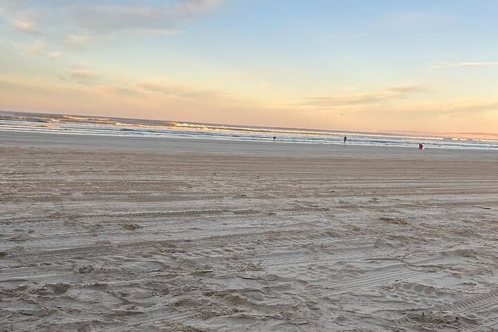 Pipi Catching and Cooking Experience in Goolwa  3