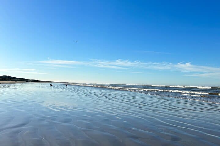 Pipi Catching and Cooking Experience in Goolwa  4