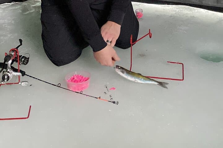 Half Day Ice Fishing Adventure in Wasilla 3
