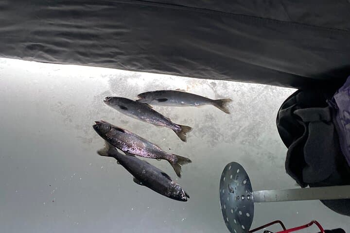 Full Day Ice Fishing Experience in Palmer Alaska 2