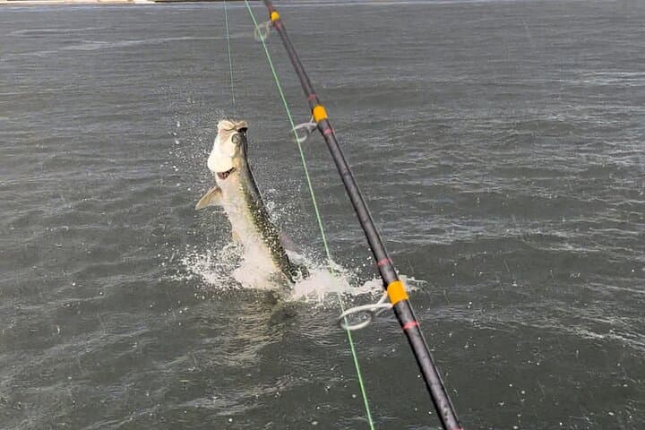 Tarpon & Snook Fishing Charter in Ft. Lauderdale 5