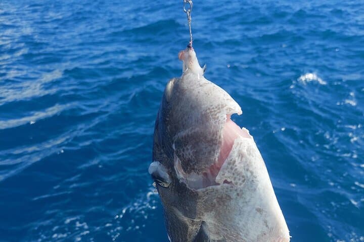 Private Big Game Fishing Tour in Raiatea 5