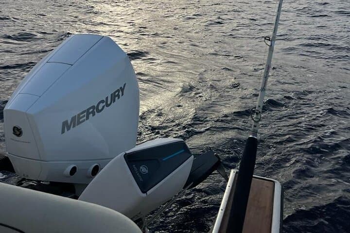  Private Experience - day of fishing on the Bari coast 2