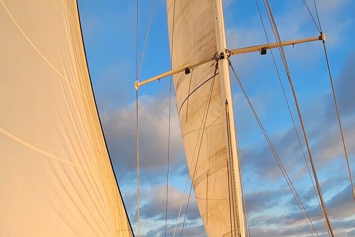 Experience Oceanside Sailing with Whales and dolphins! 2