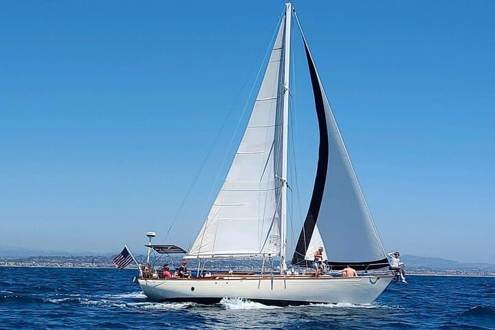 Experience Oceanside Sailing with Whales and dolphins! 5