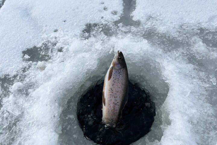 3 Hour Ice Fishing Experience 3