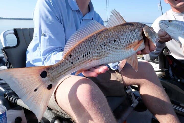 Hooked on the Bayou: New Orleans Kayak Fishing Trip 2