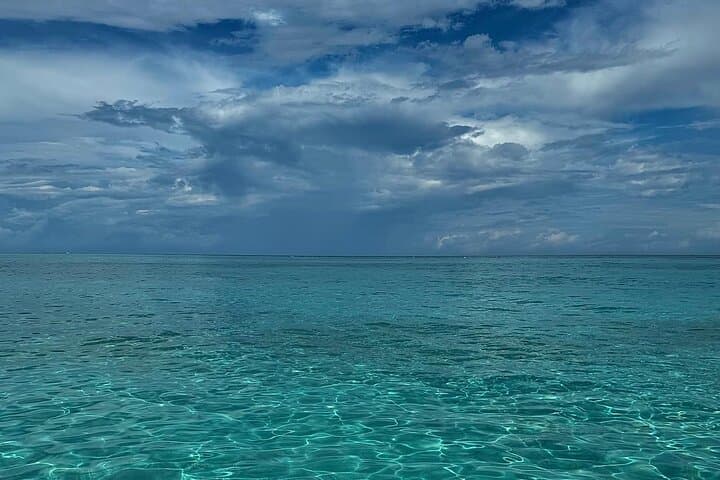 Stingray City and Snorkeling Private Charter 2