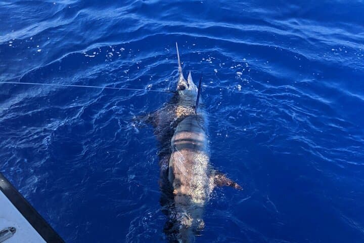 5 Hours Private Fishing Charter in Kailua-Kona 3