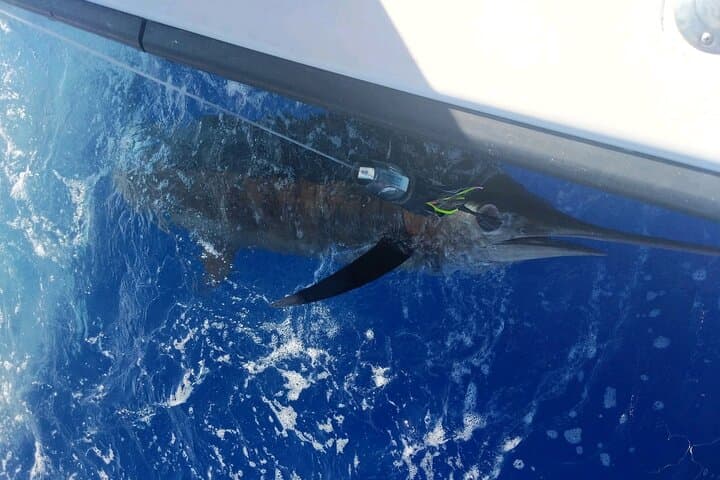 5 Hours Private Fishing Charter in Kailua-Kona 5