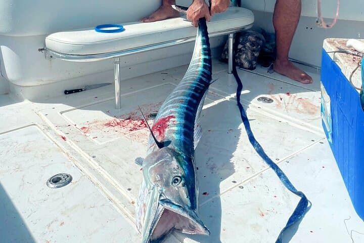 Private Deep Sea Fishing Experience in Grand Cayman 2