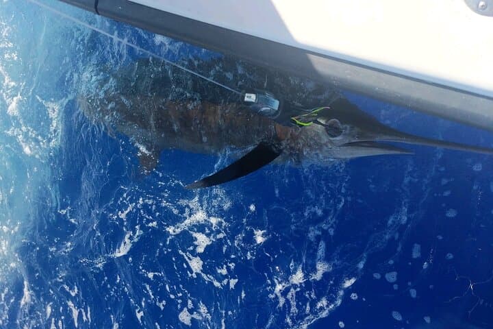 6 Hour Private Fishing Charter Kona, Hawaii 3