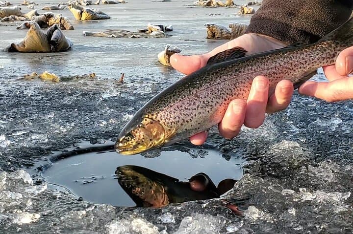 Anchorage Ice Fishing Adventure 5